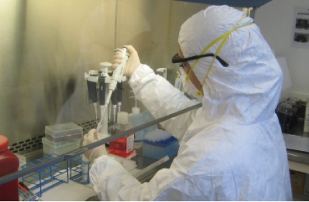 Crean células mutantes para fabricar vacuna contra amebiasis