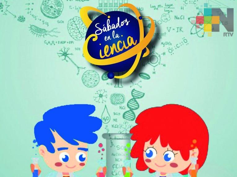 Hablarán sobre los delfines de Alvarado en «Sábados en la Ciencia”