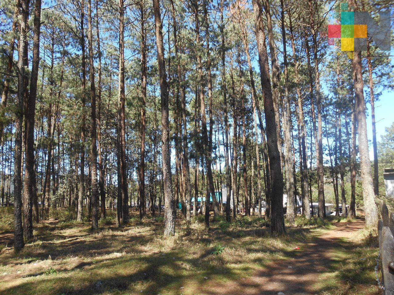 Miércoles caluroso y bochornoso en Veracruz