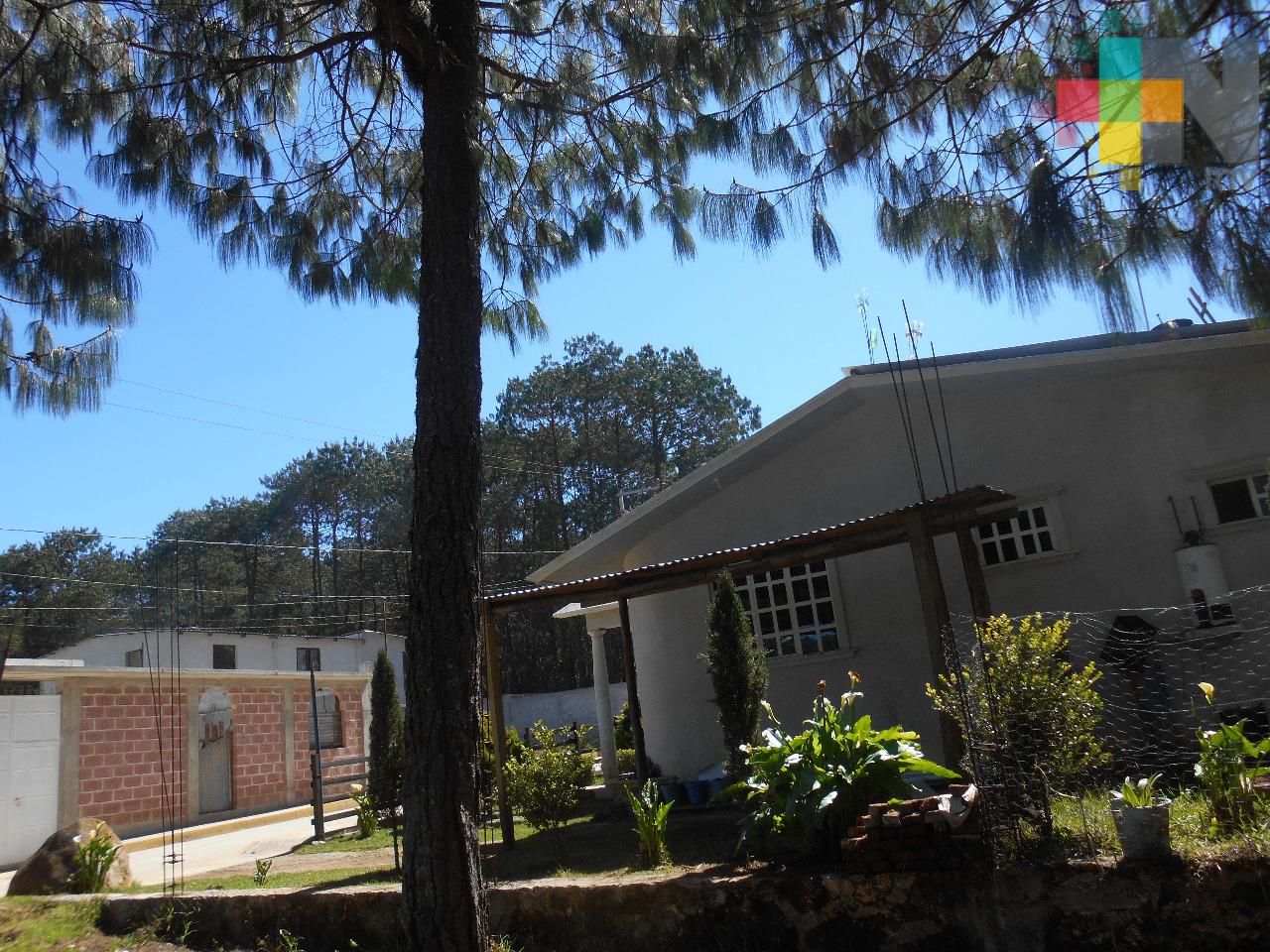 Rachas de viento ocasionan riesgo de caídas de ramas y árboles en Huayacocotla