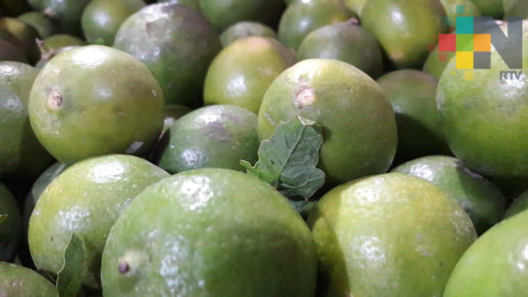 Escasez encarece el limón; alcanzó los 36 pesos
