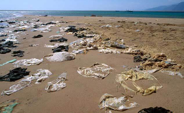 Bolsas de plástico, objeto que más contamina el medio ambiente