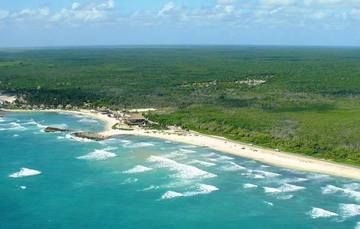 Biosfera del Caribe Mexicano conserva playas tortugueras y humedales