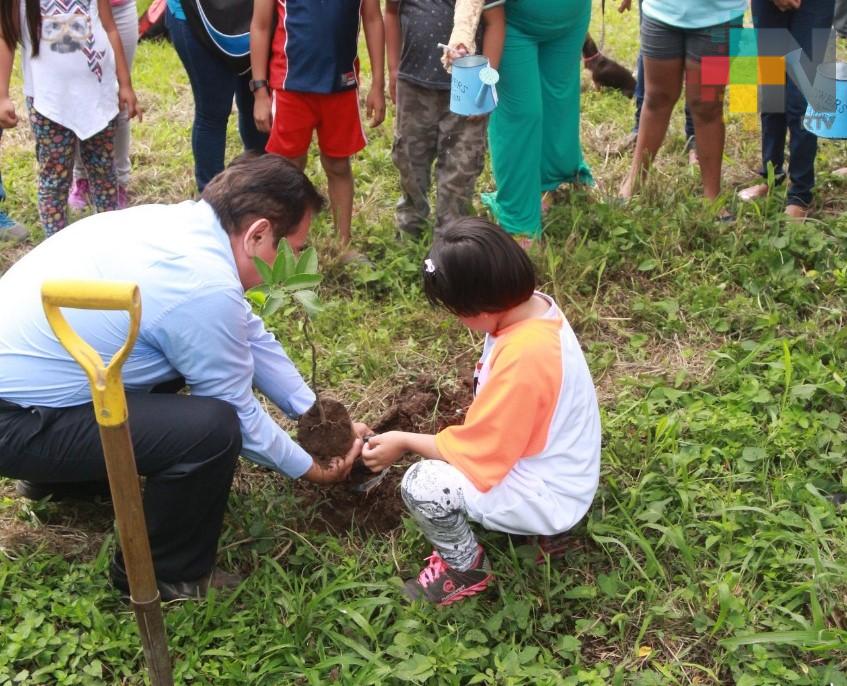 En Martínez de la Torre inician programa de reforestación