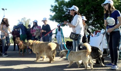 Casitas en Movimiento Veracruz llevará a cabo k-ninata neón 2018