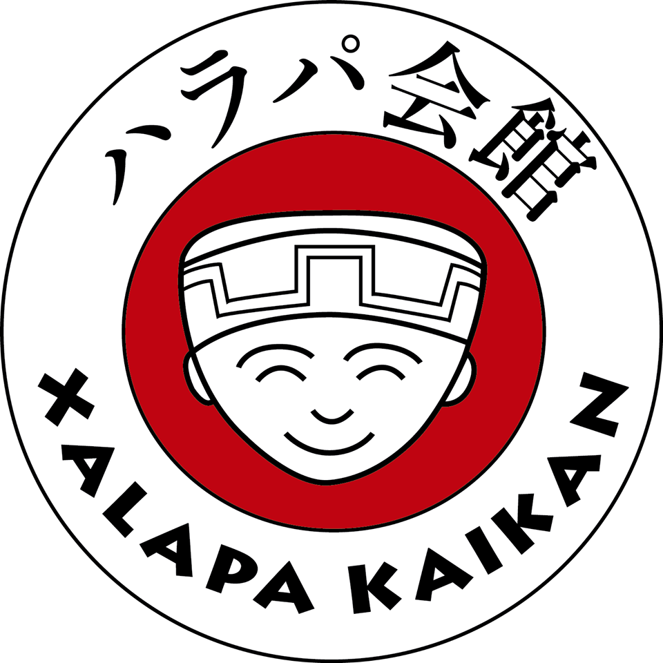 En Xalapa organización Kaikan celebra el Día de los Niños Varones