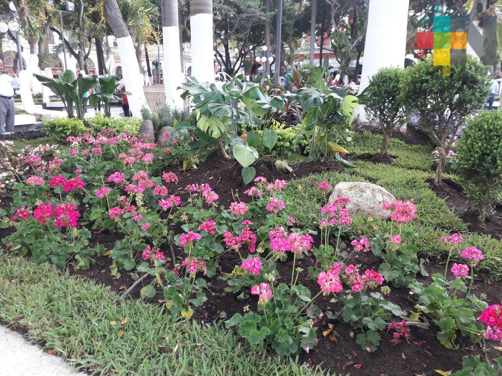 Exponen “tiempo de flores” en el zócalo de Veracruz