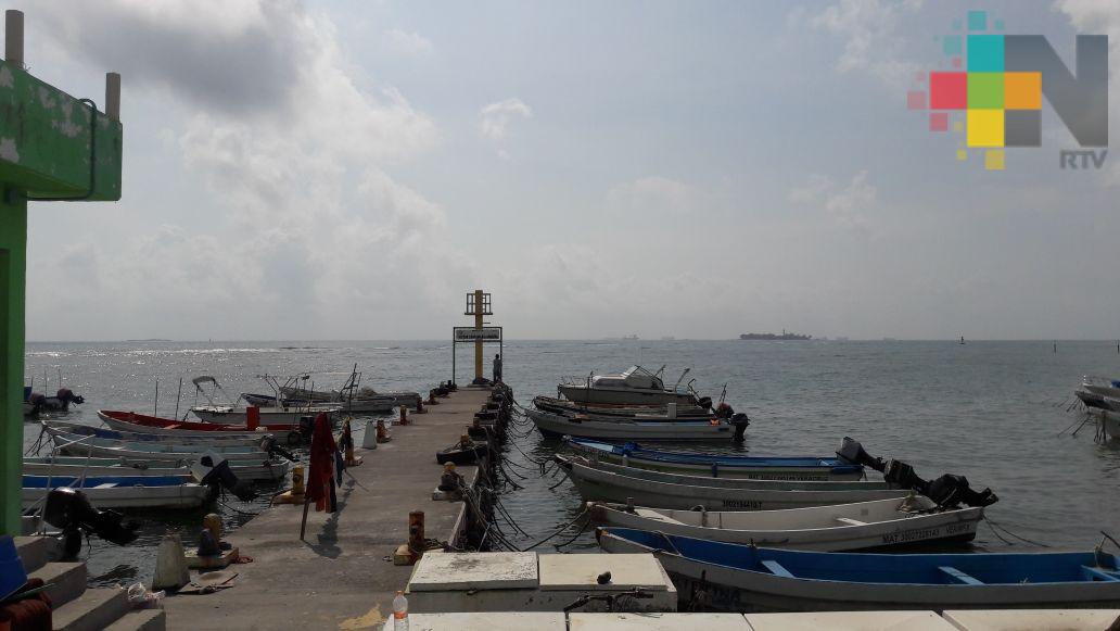 A un año de la desaparición «El Lápiz», pescadores reforzaron seguridad en el puerto de Veracruz