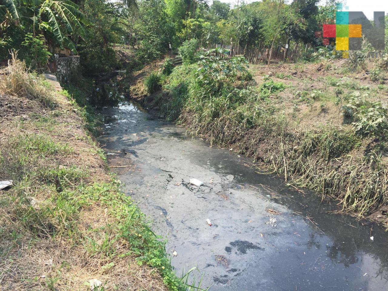 Inician trabajos de limpieza en arroyos y zanjas de Tierra Blanca