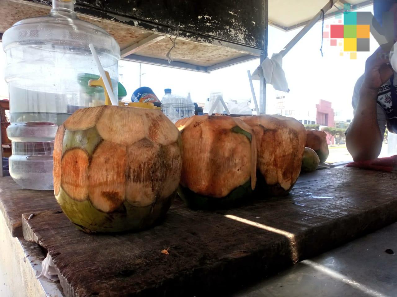 Comerciantes de cocos y raspados, los más beneficiados con altas temperaturas en el sur de Veracruz