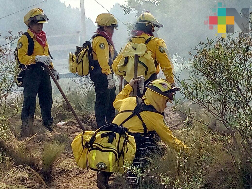 Se mantiene activo incendio forestal en Las Vigas