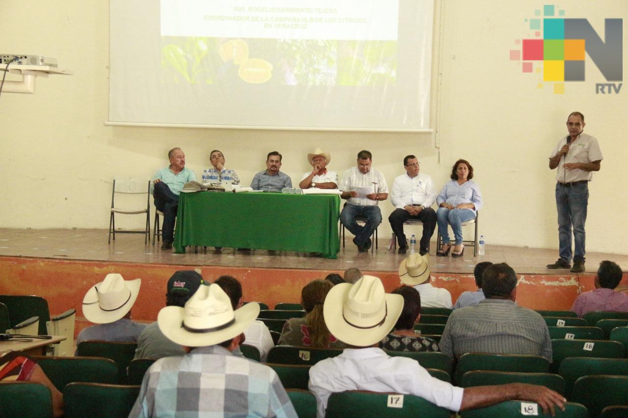 En Martínez de la Torre todos contra el Dragón Amarillo