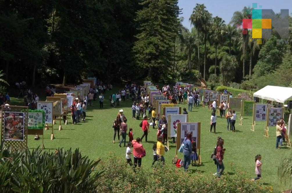 Niños exponen carteles sobre experiencias ambientales en el jardín botánico de Xalapa