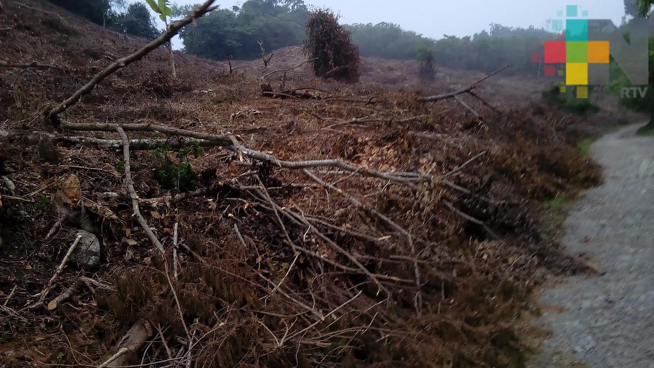 Estiaje afecta a Ilamatlán