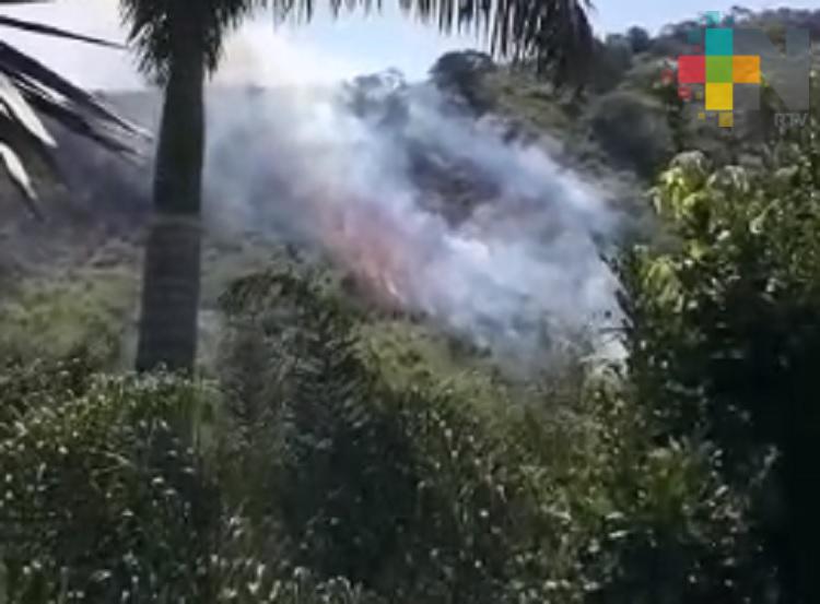 Sofocan incendio forestal en cerro de Ixtaczoquitlán