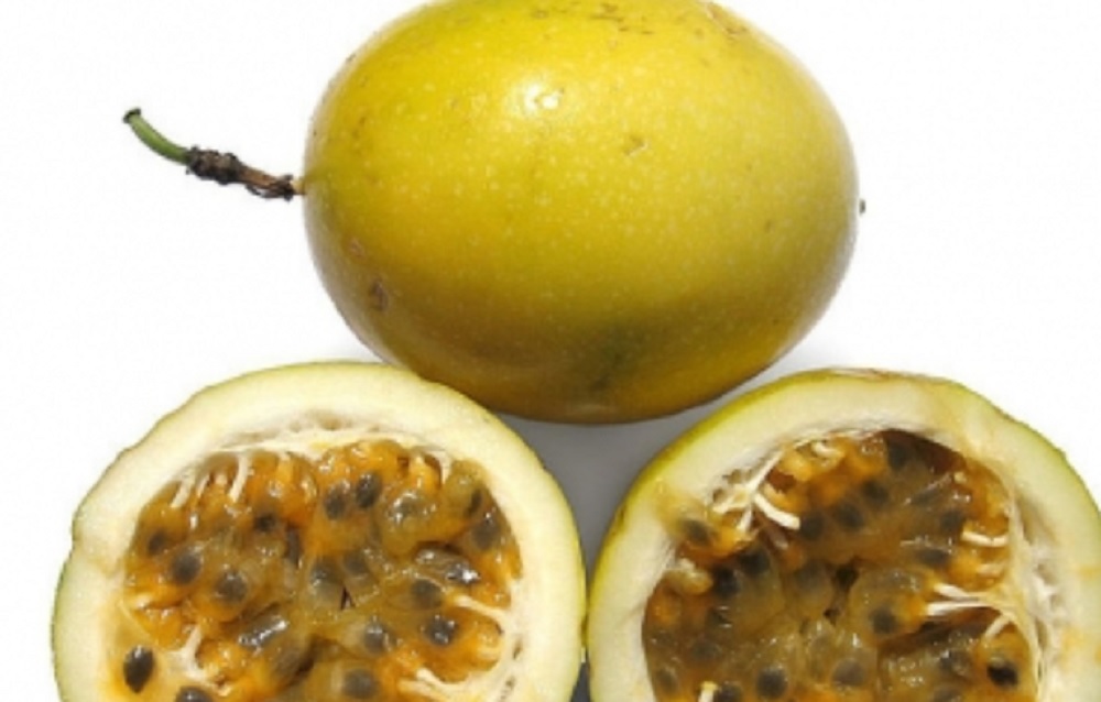 Residuos del maracuyá podrían prevenir diversas enfermedades