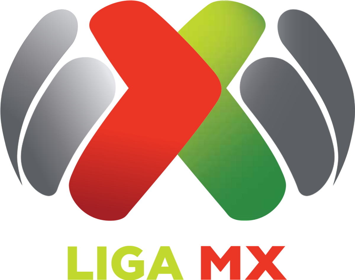 Liguilla del Clausura 2018 se jugará sin videoarbitraje