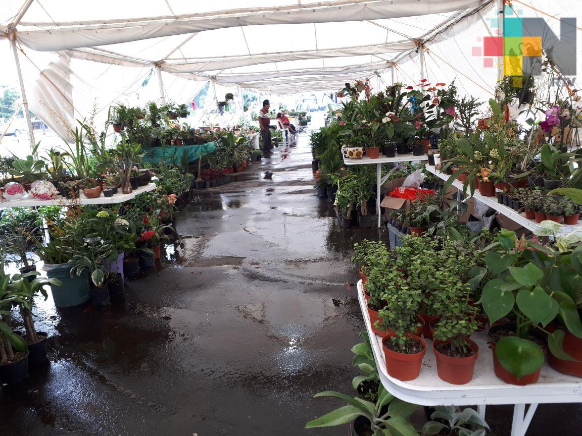 En Veracruz realizan Expo “Mamá una Flor”