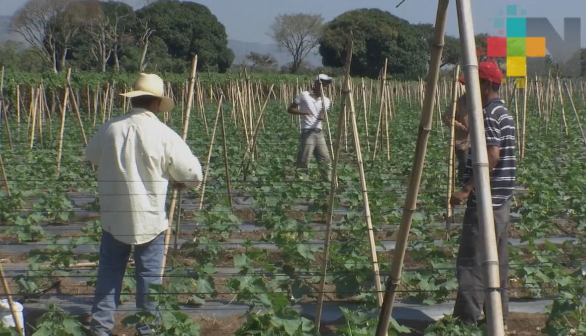 Ganaderos del sur de Veracruz solicitarán apoyos agrícolas a la Sedarpa