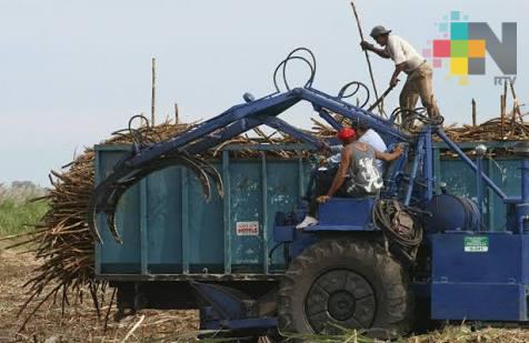 Buscarán cañeros se celebre día de la Ley de Desarrollo Sustentable de la Caña de Azúcar