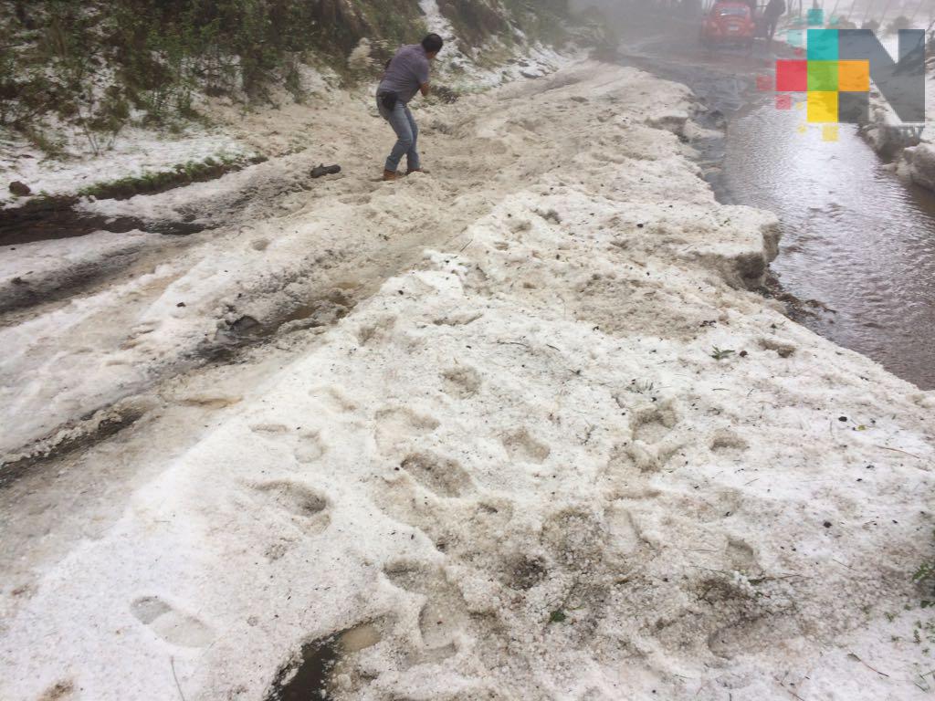 Estragos por granizadas en Michoacán y Nuevo León; hay cinco lesionados