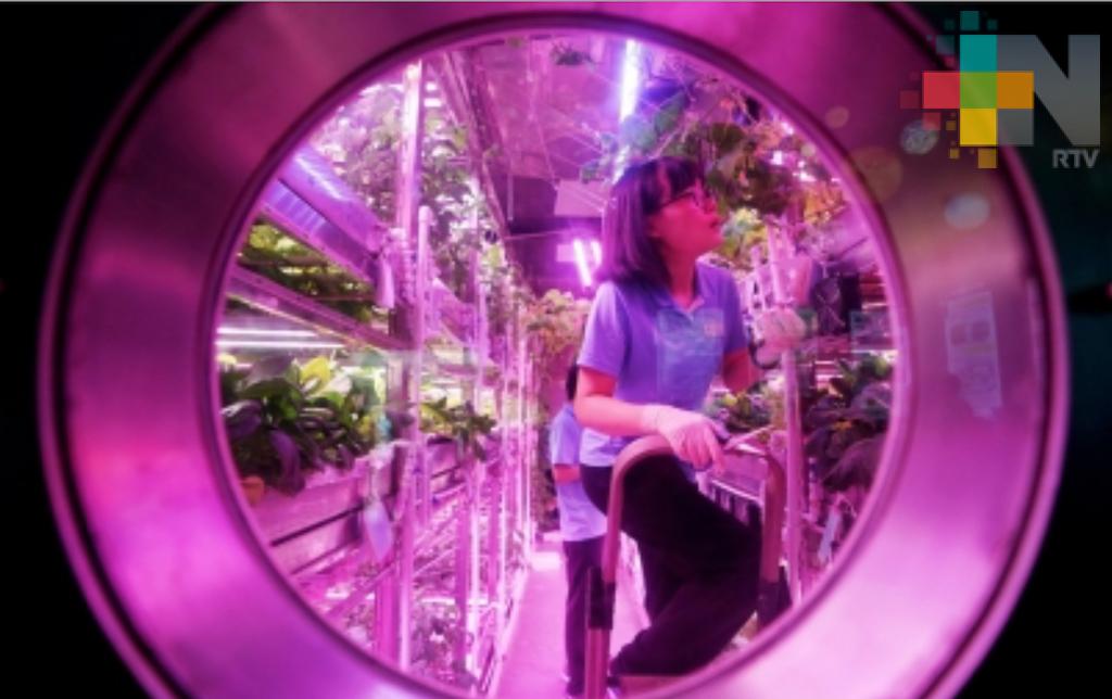 China establece récord de estancia en un laboratorio lunar autónomo