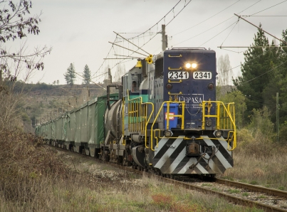 Trenes de carga transitan sin problema por Veracruz: Policía Federal