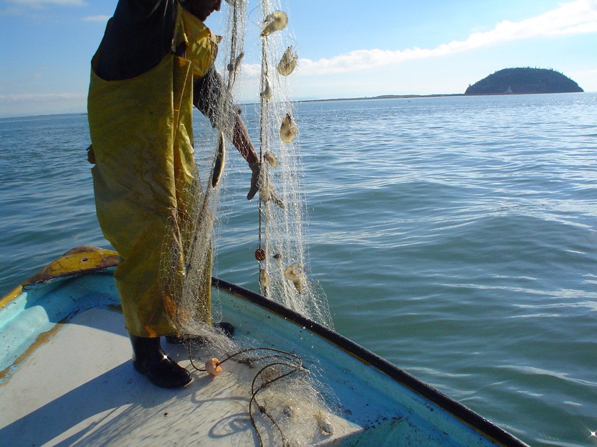 Inapesca impulsa proyecto de prospección y evaluación de recursos pesqueros coordinado por la FAO