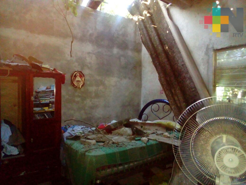 Caída de árboles por tormenta deja cinco casas dañadas en Tierra Blanca