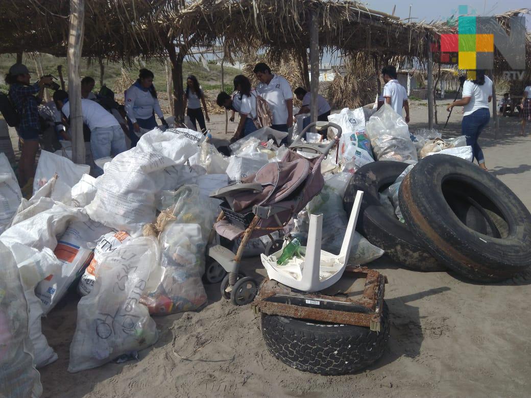 Habitantes de Antón Lizardo limpian sus playas en el marco del Día Mundial de los Océanos