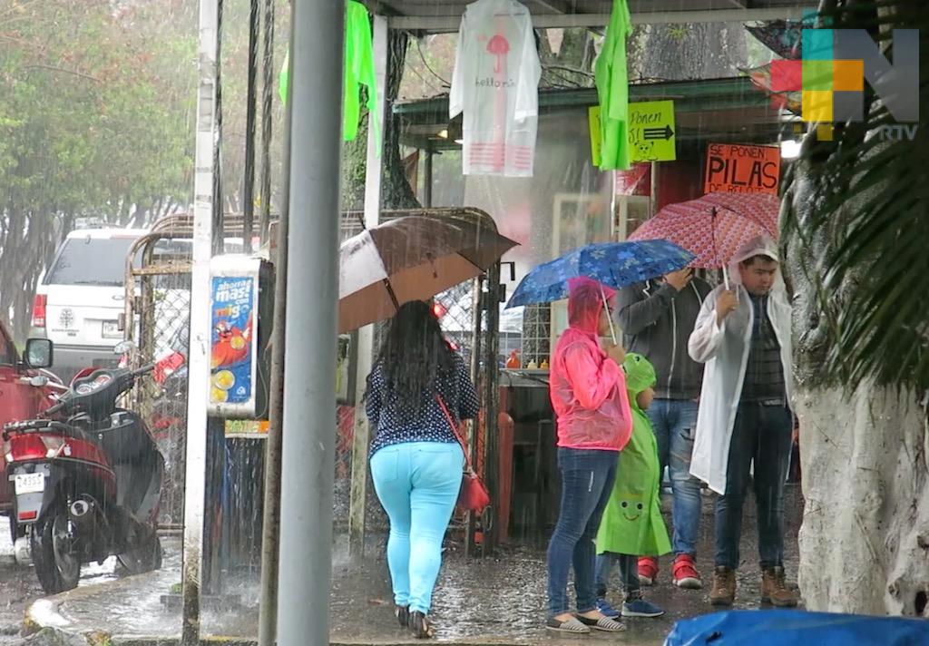 Se esperan lluvias moderadas en gran parte de Veracruz; y fuertes en montaña y zona sur