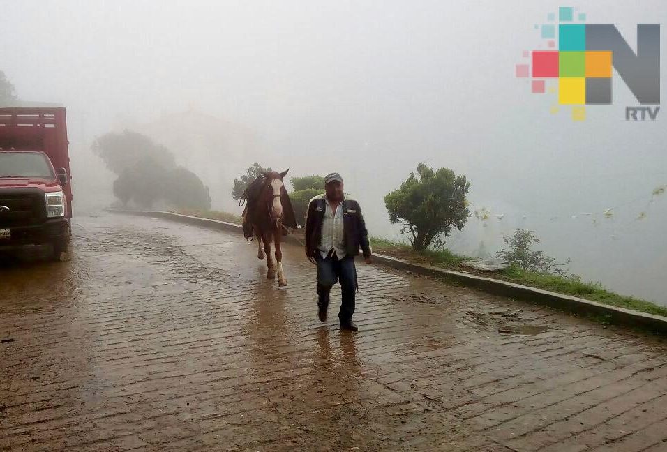 Nubosidad dispersa con lluvias ligeras aisladas en Veracruz