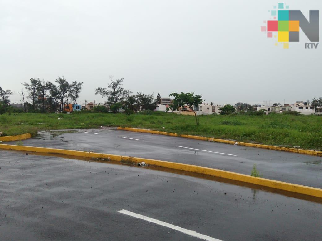 Realizarán reforestación masiva en zona la Pinera de Veracruz