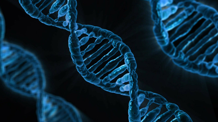 Crean científicos atlas genéticos de proteínas en sangre humana