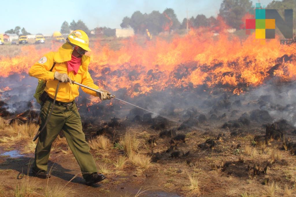 Más de mil hectáreas de pastizales y bosques han sido afectadas por incendios forestales en Veracruz
