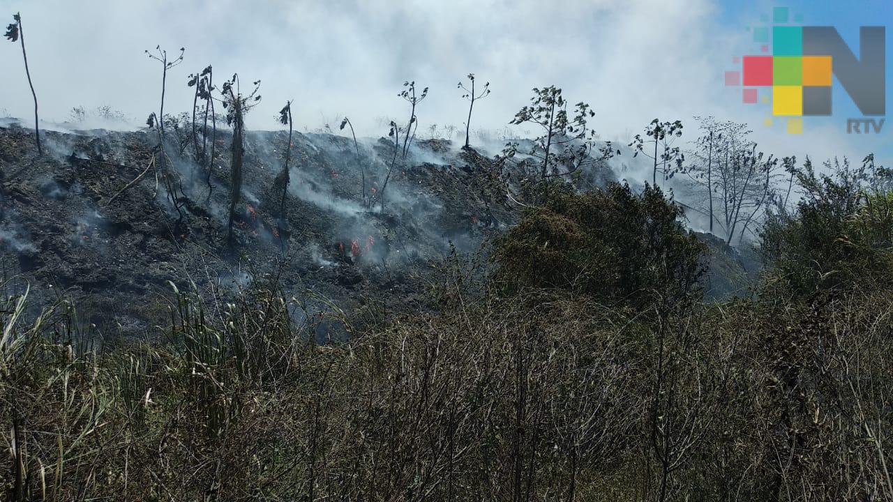 Suradas en Coatzacoalcos provocan incendios de pastizales