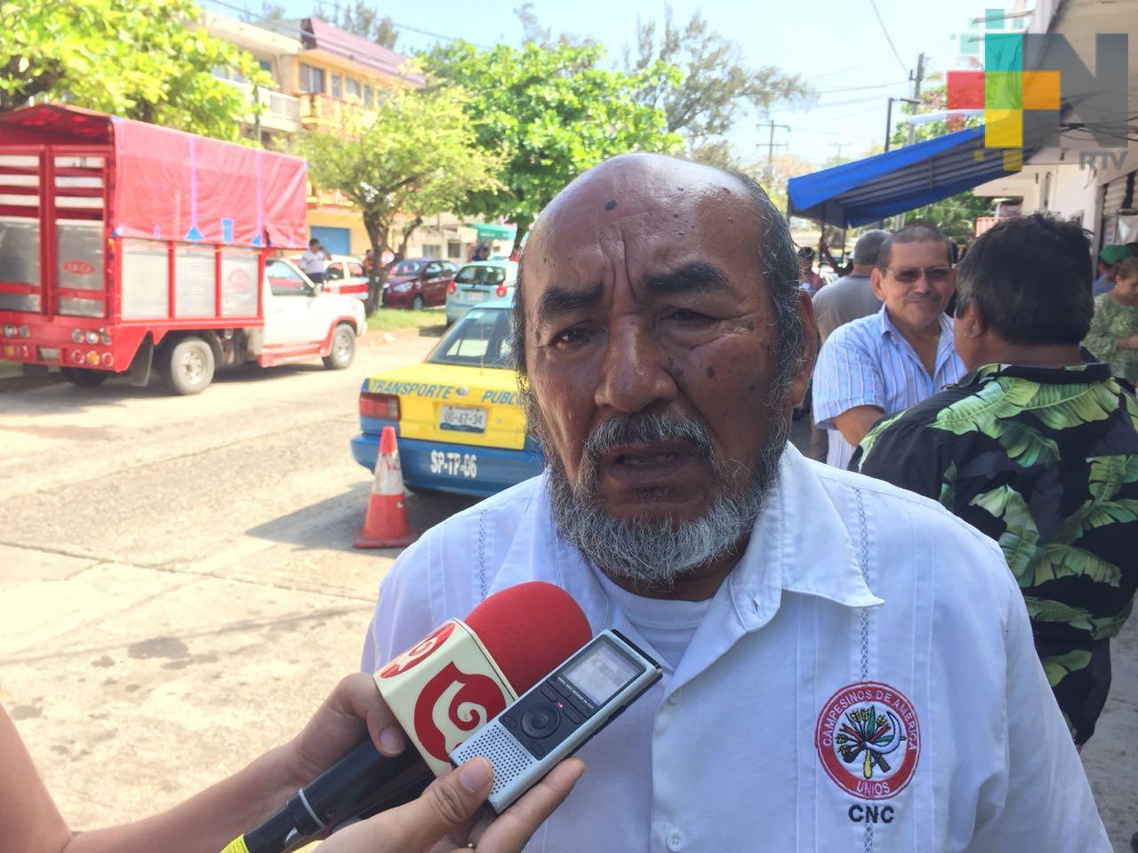 Taxista del sur de Veracruz piden que trámite de revista vehicular sea más ágil