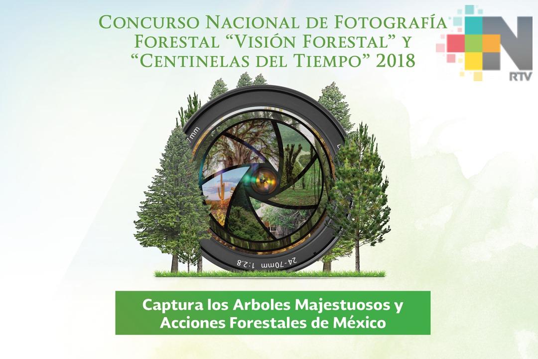 Conafor invita a concurso nacional de fotografía