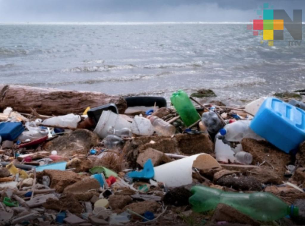 Más plástico que peces, el gran peligro que corren los océanos