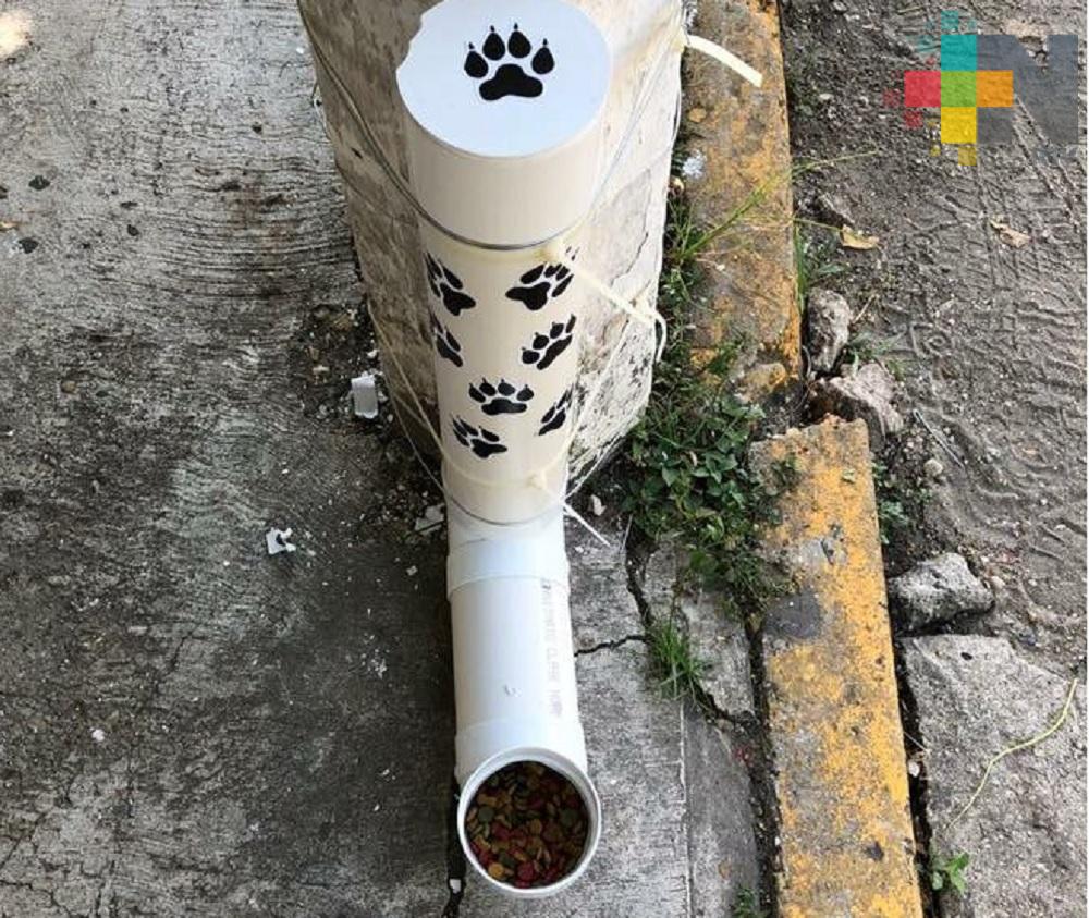 En Nanchital instalan comederos para perros en situación de calle