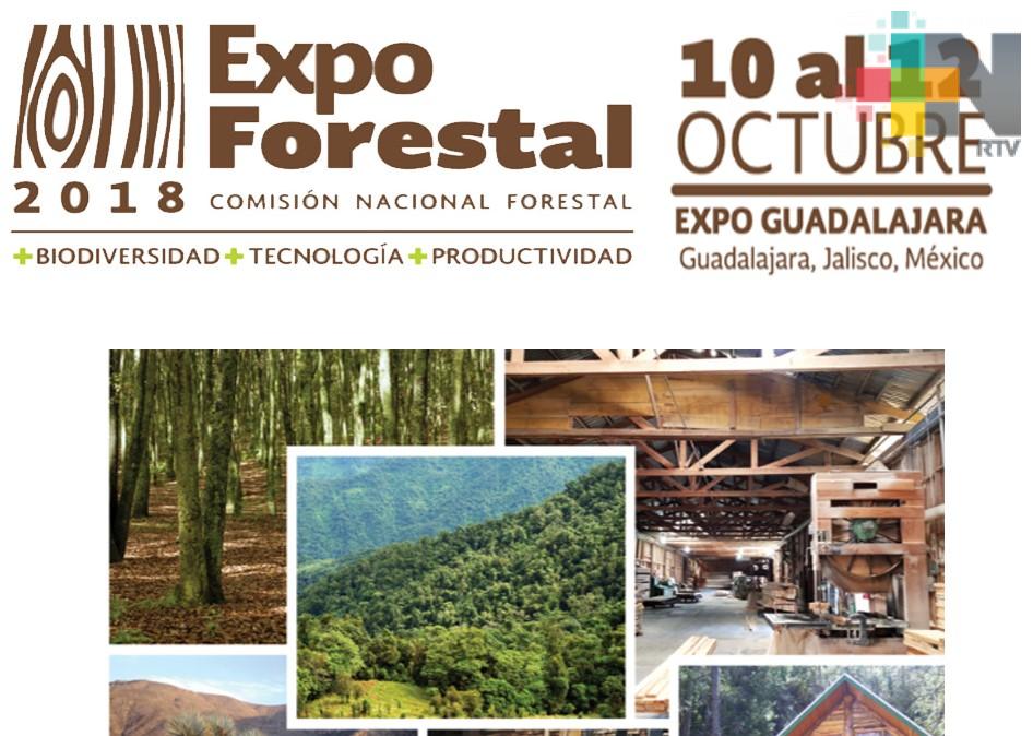 Tecnológicos veracruzanos presentaron proyectos en la Expo Forestal de Guadalajara