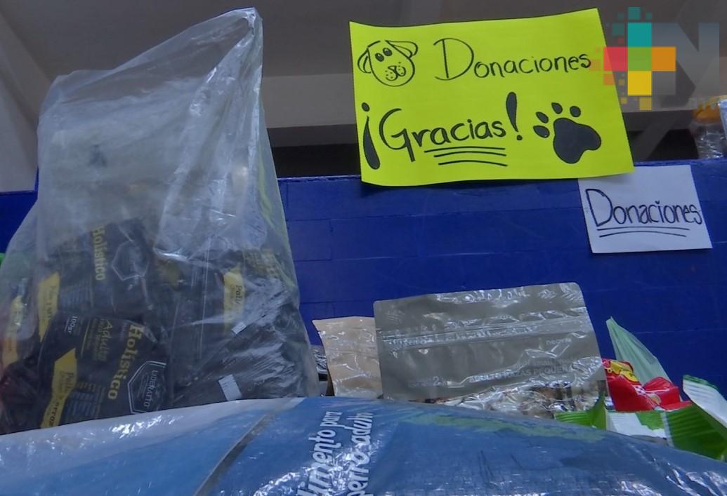 Realizan croquetón para ayudar al albergue Ada Azul