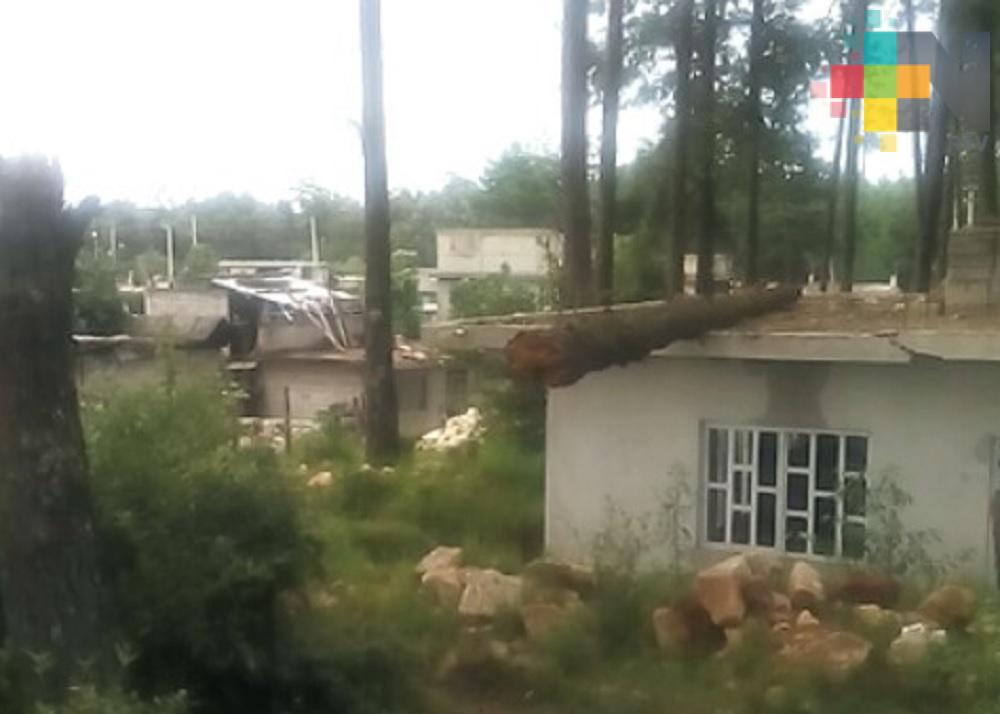 Reportan afectaciones en la sierra de Huayacocotla por lluvias