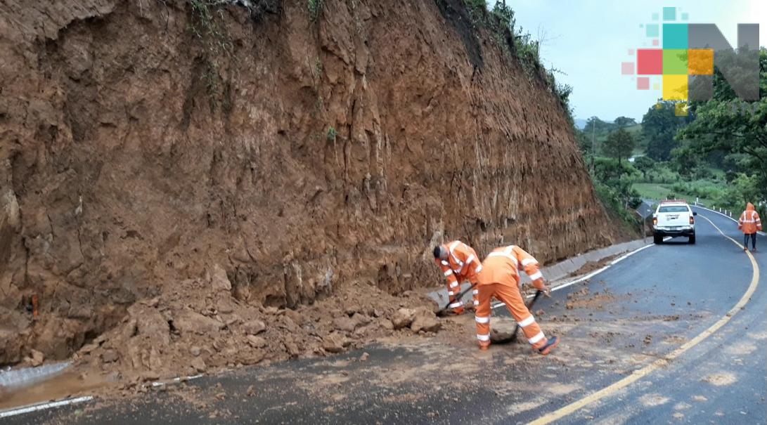 Deslaves y caída de árboles por lluvia en Teocelo y Xalapa