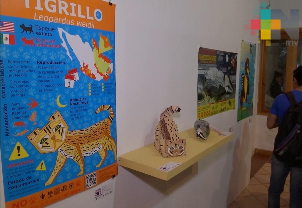 Jardín de las Esculturas de Xalapa muestra la exposición colectiva “Habitarte”
