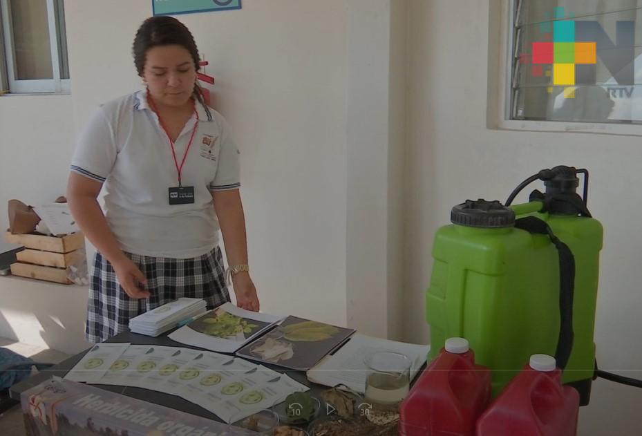 Estudiantes de bachillerato mostraron su creatividad en la Olimpiada Estatal Ambiental