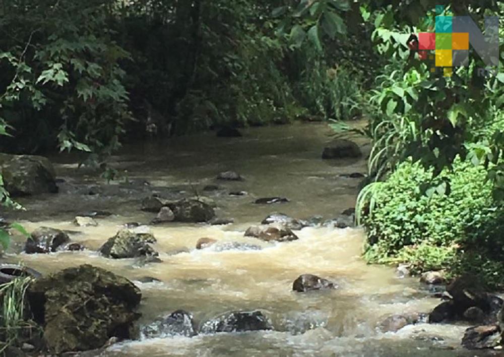Xalapa requiere de colectores y plantas de tratamiento para sanear ríos