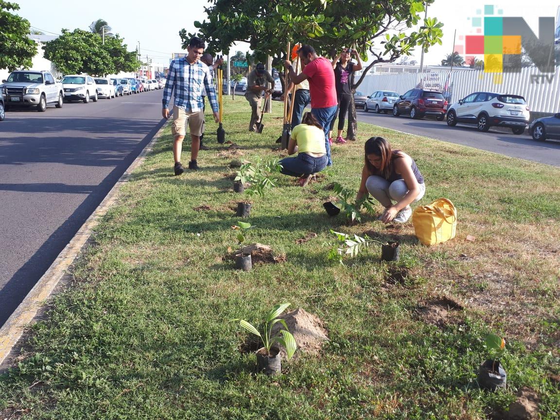 Reforestan camellones de Costa Verde