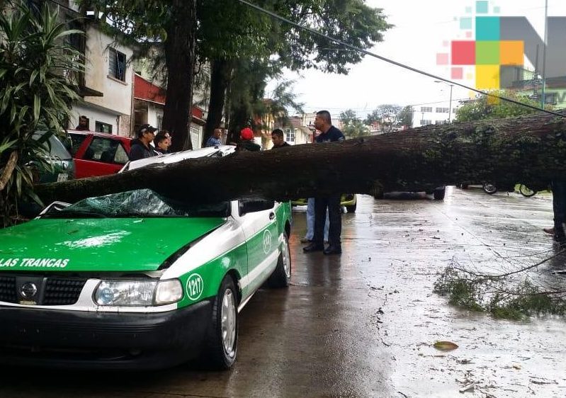 Inundaciones y árboles caídos en Xalapa por lluvia y granizada