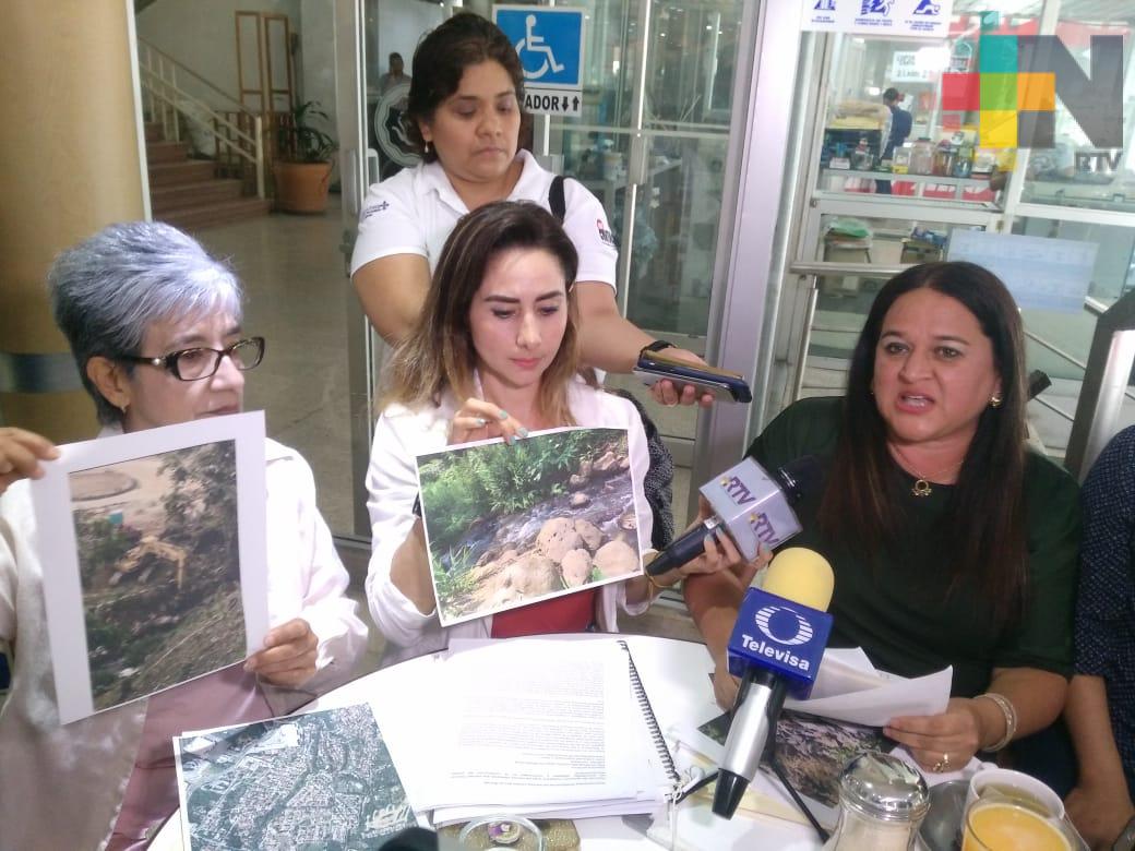 Vecinos de Las Ánimas denuncian ecocidio por construcción del puente Nezahualcóyotl